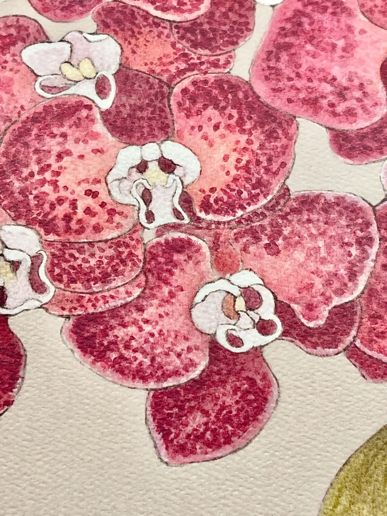 Red Orchid - Art Print (16"W x 20"H)