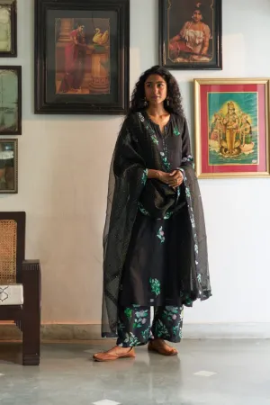 Sanjh kurta set