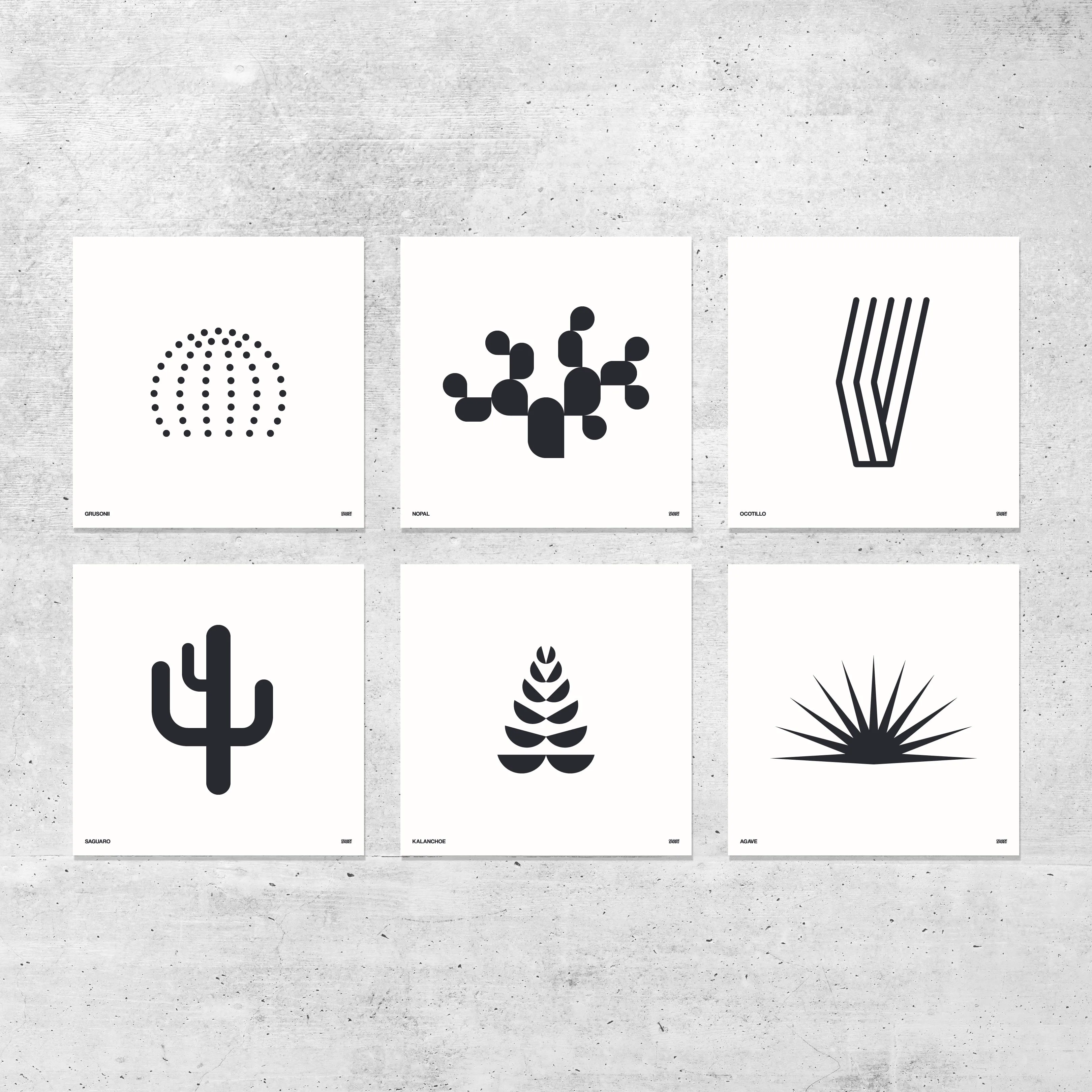Succulent Prints