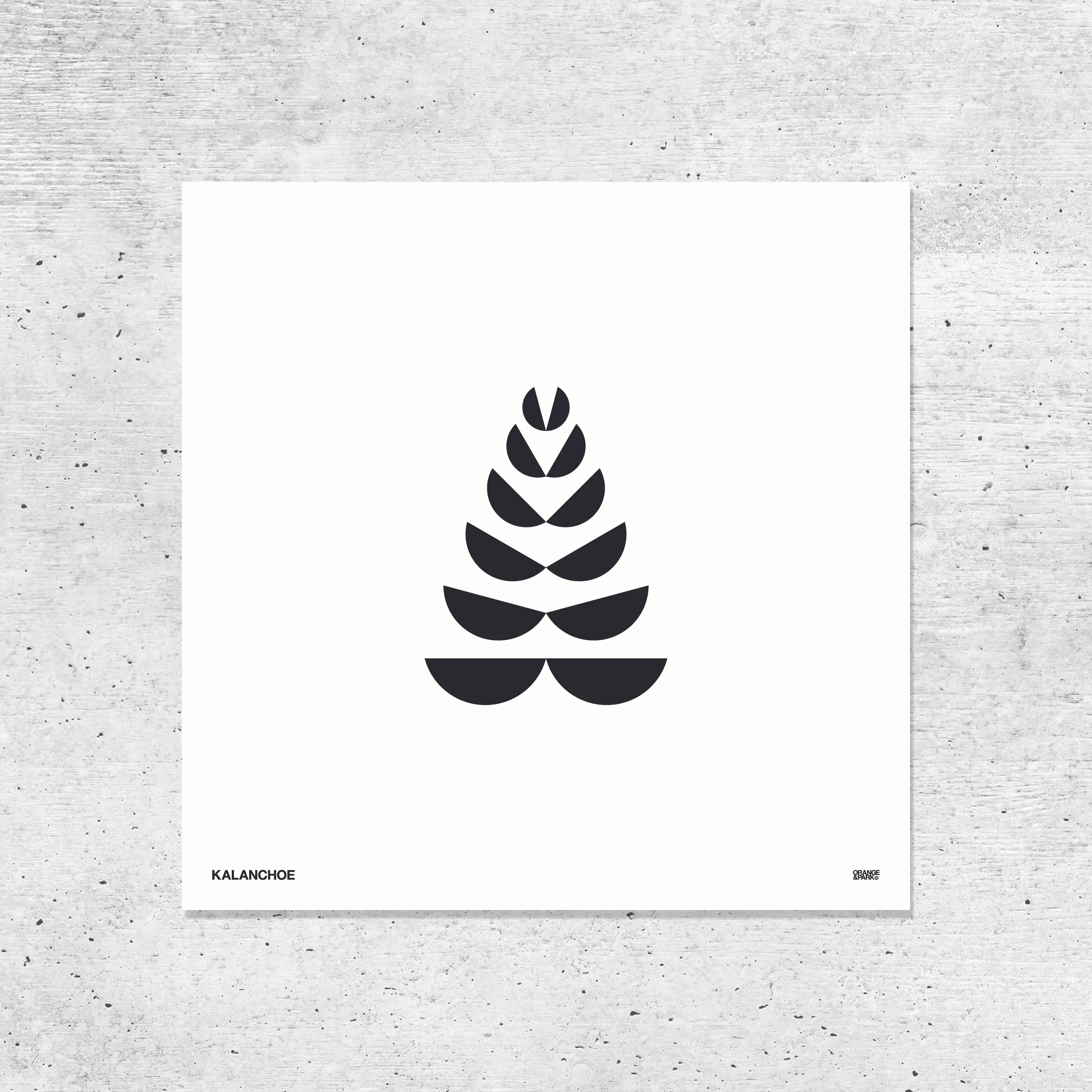 Succulent Prints