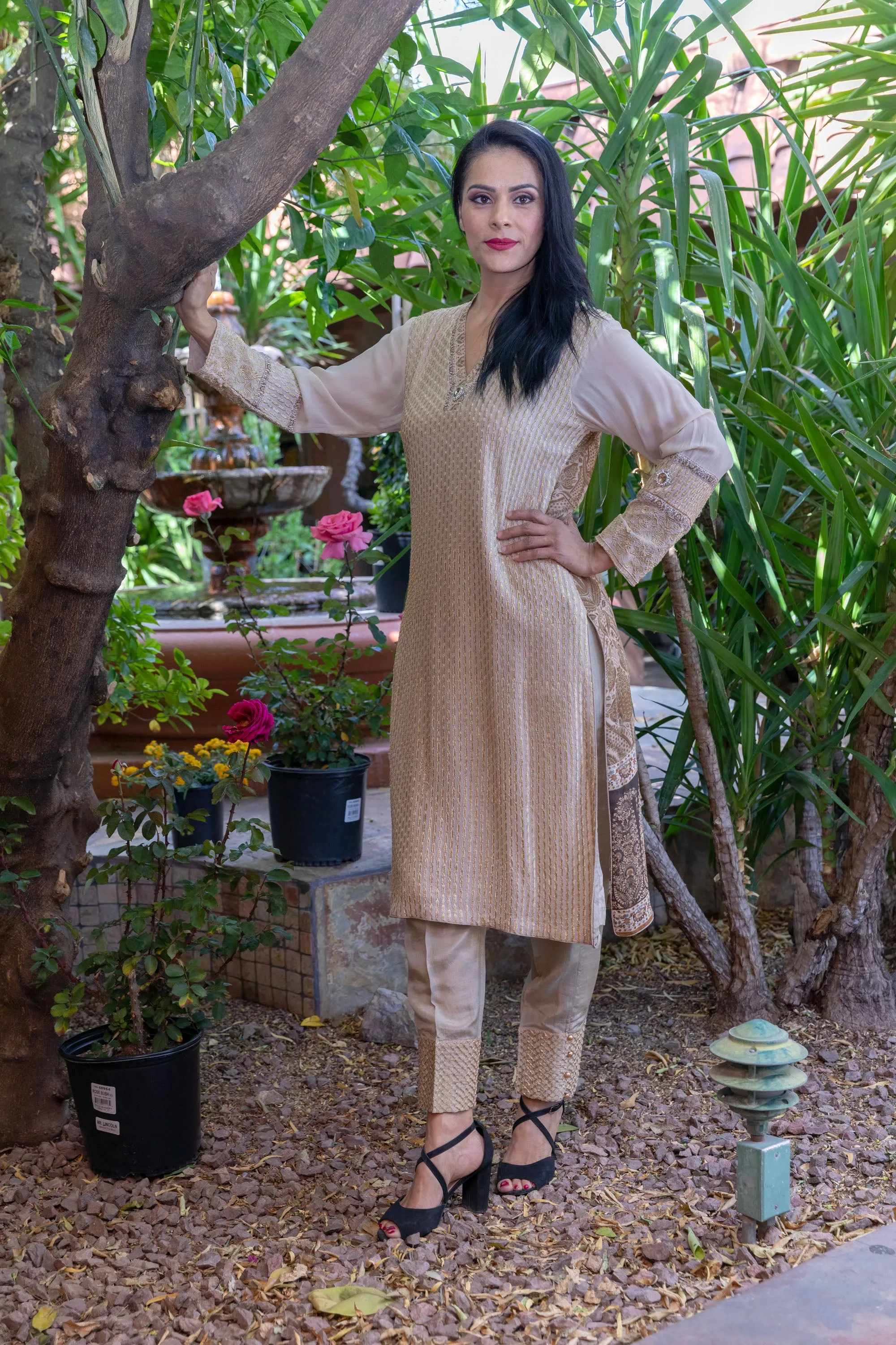 Tan Chiffon & Georgette Suit