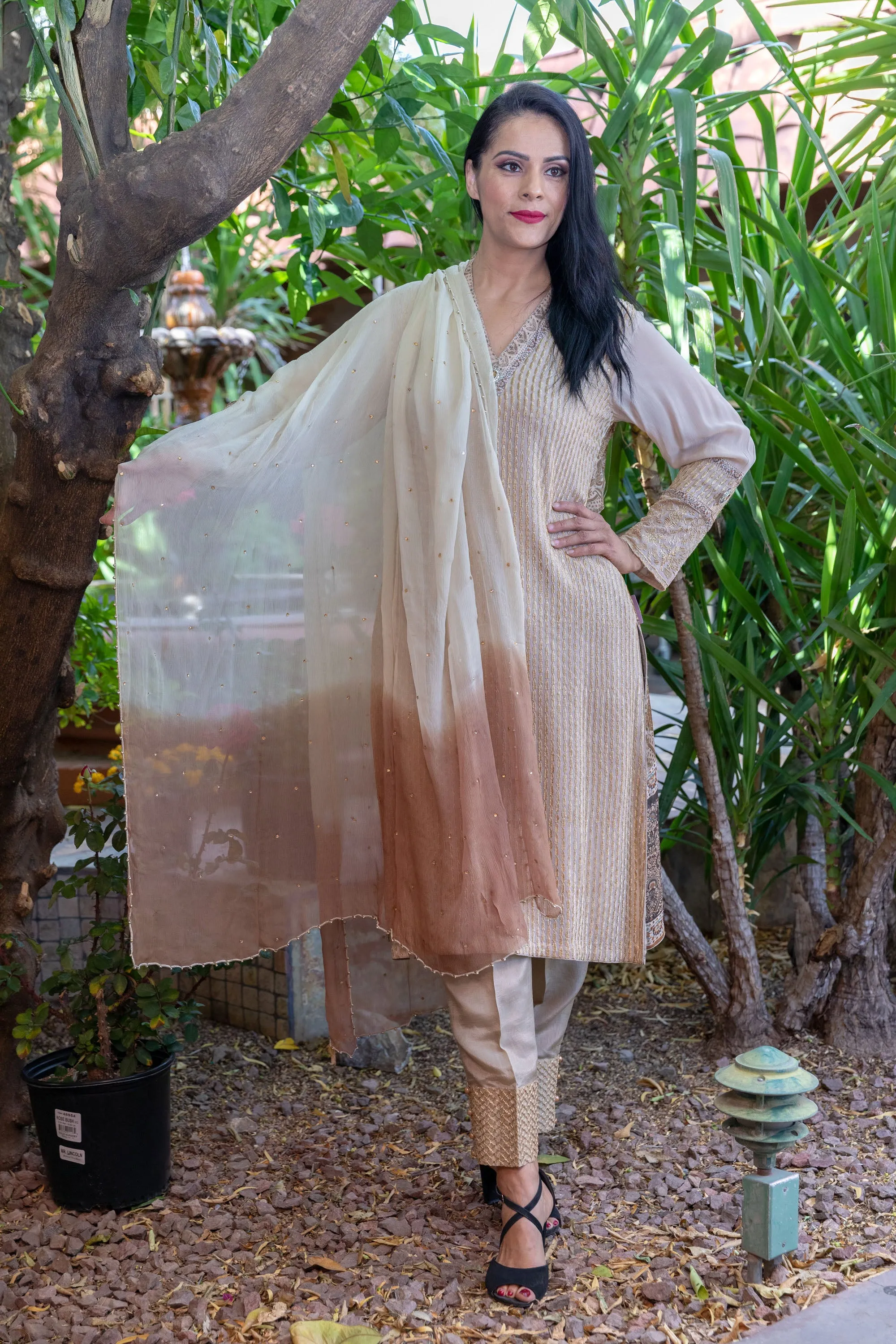 Tan Chiffon & Georgette Suit