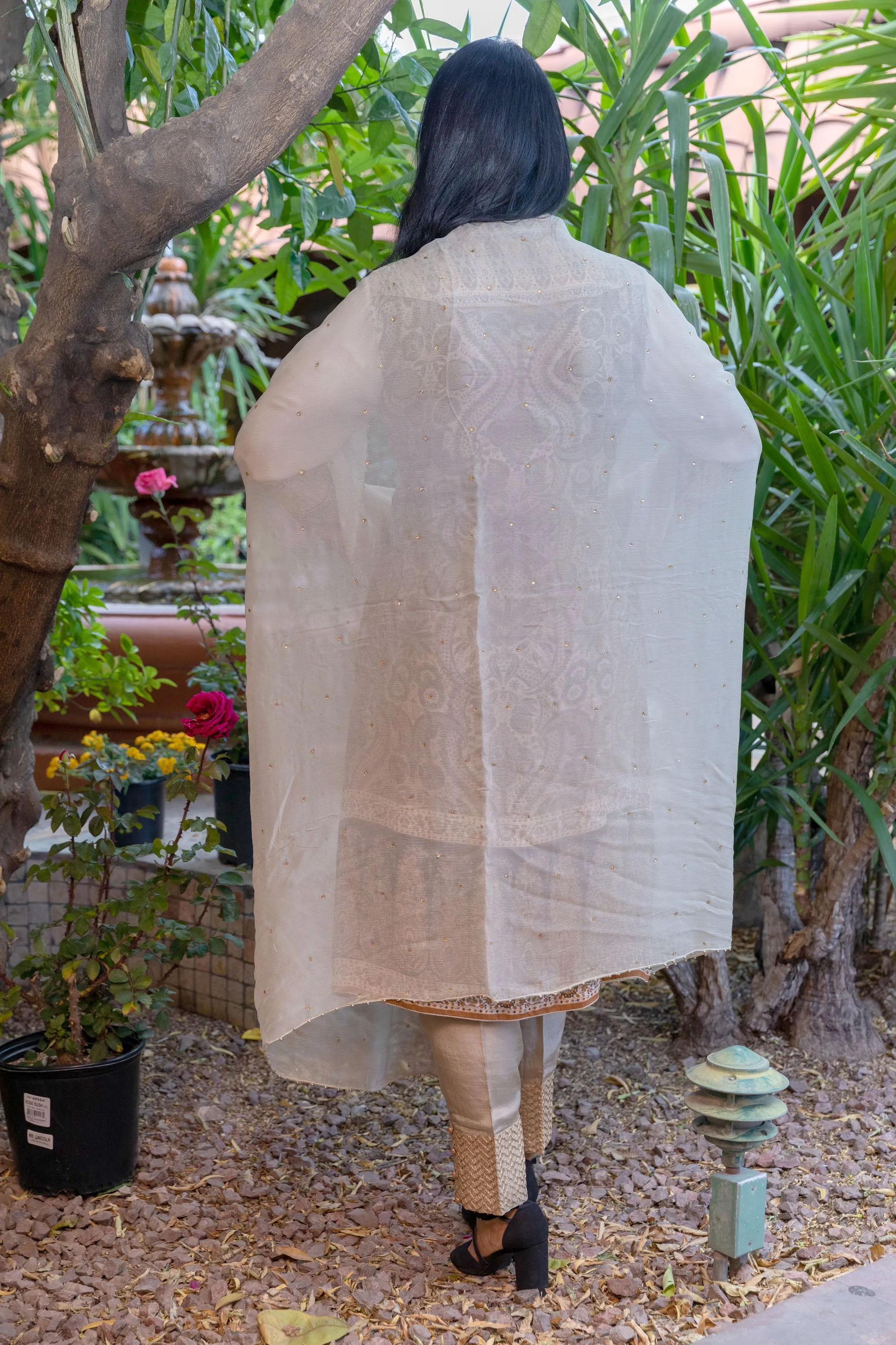 Tan Chiffon & Georgette Suit