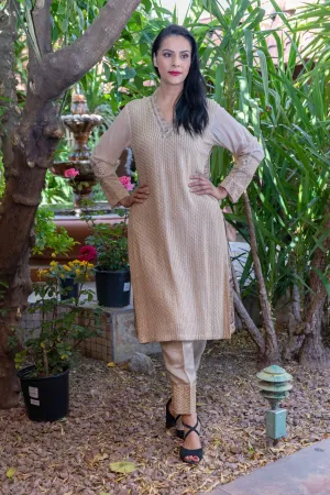Tan Chiffon & Georgette Suit