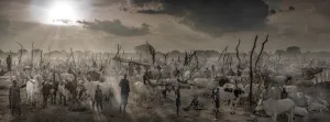 The New Testament - Monochromatic