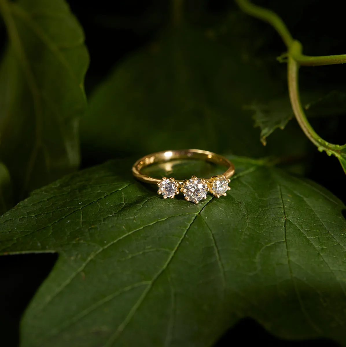 Triple White Diamond Blooming Ring | R19001W