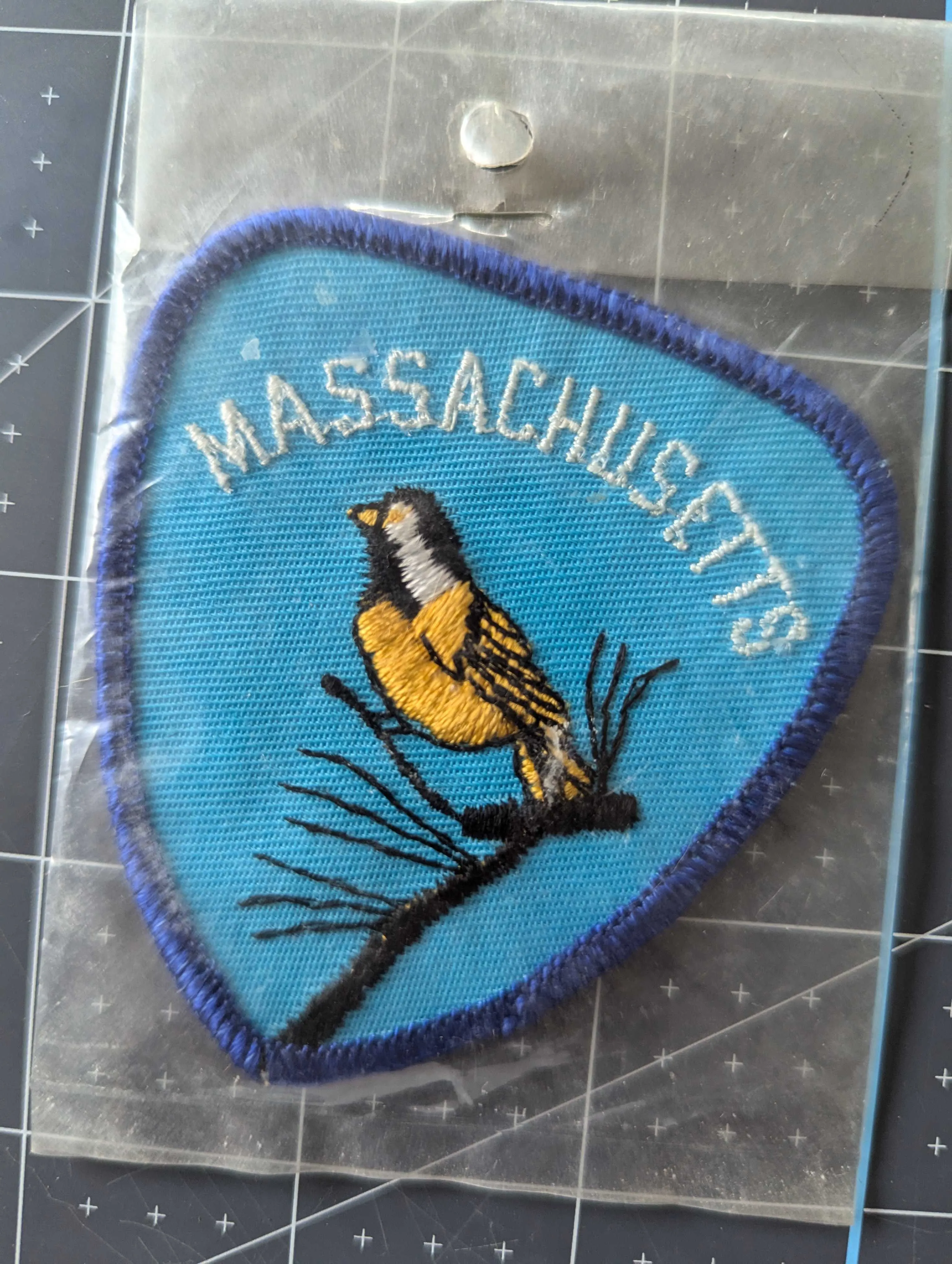 Vintage Massachusetts Patch