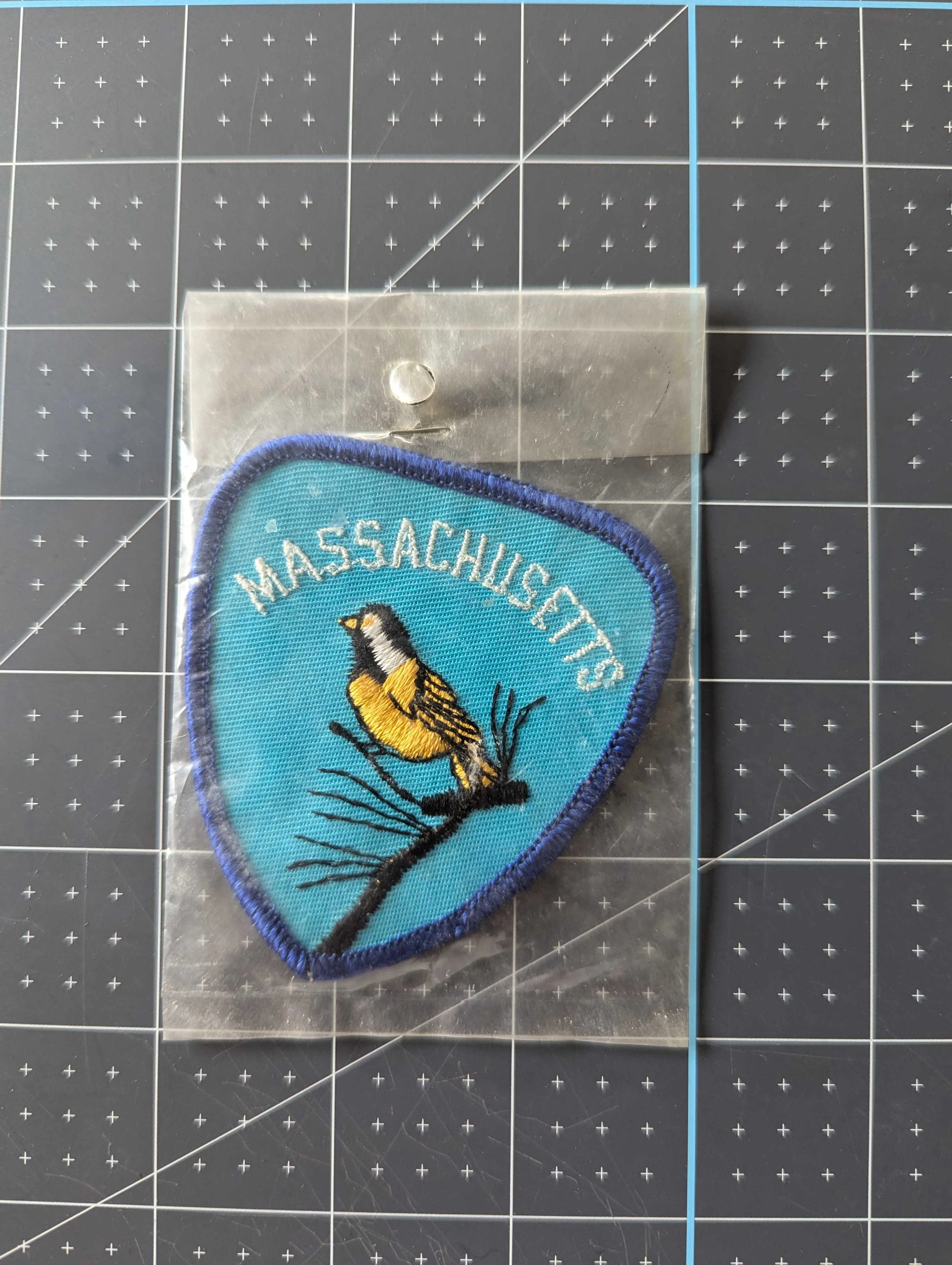 Vintage Massachusetts Patch