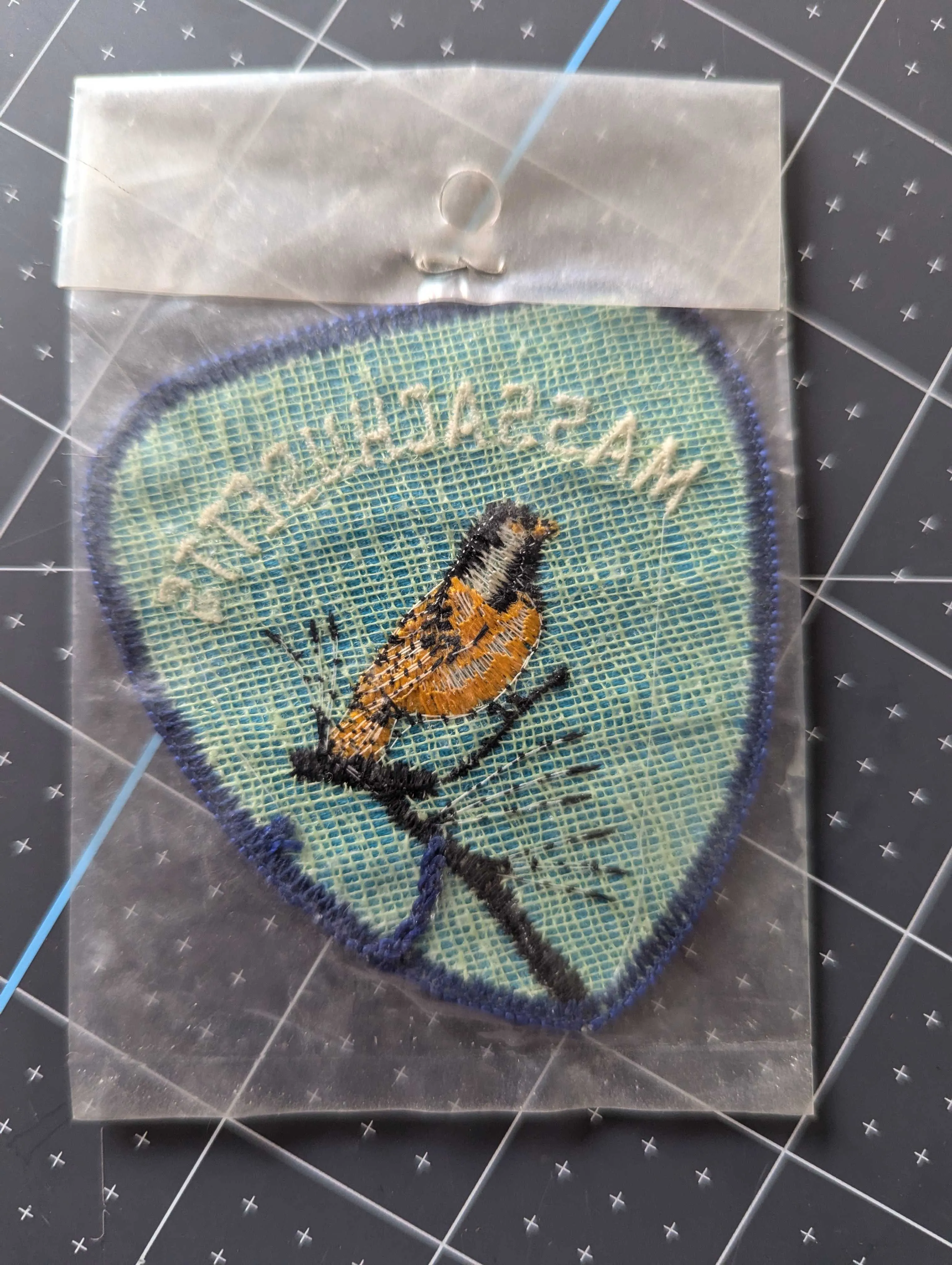 Vintage Massachusetts Patch