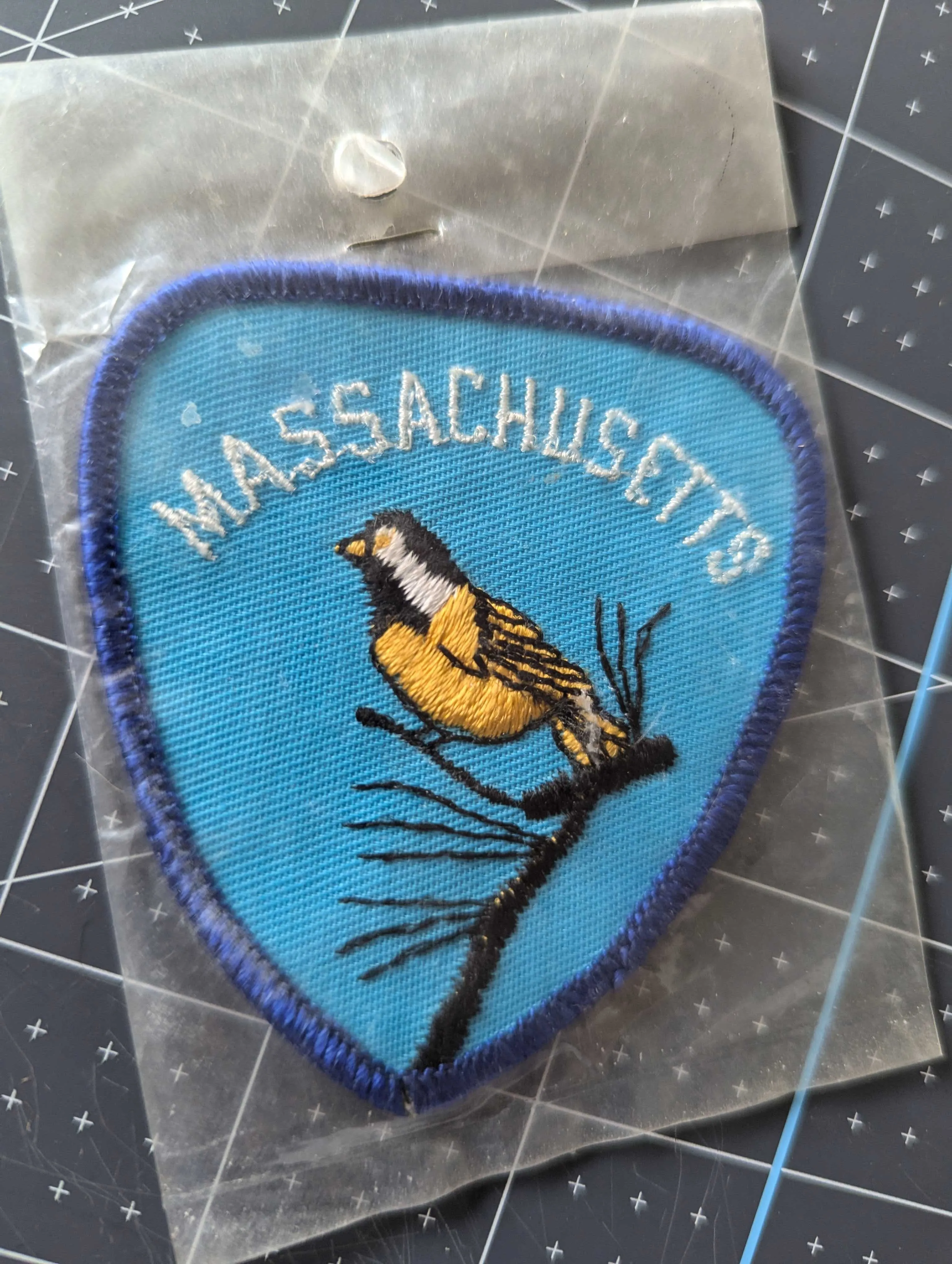 Vintage Massachusetts Patch