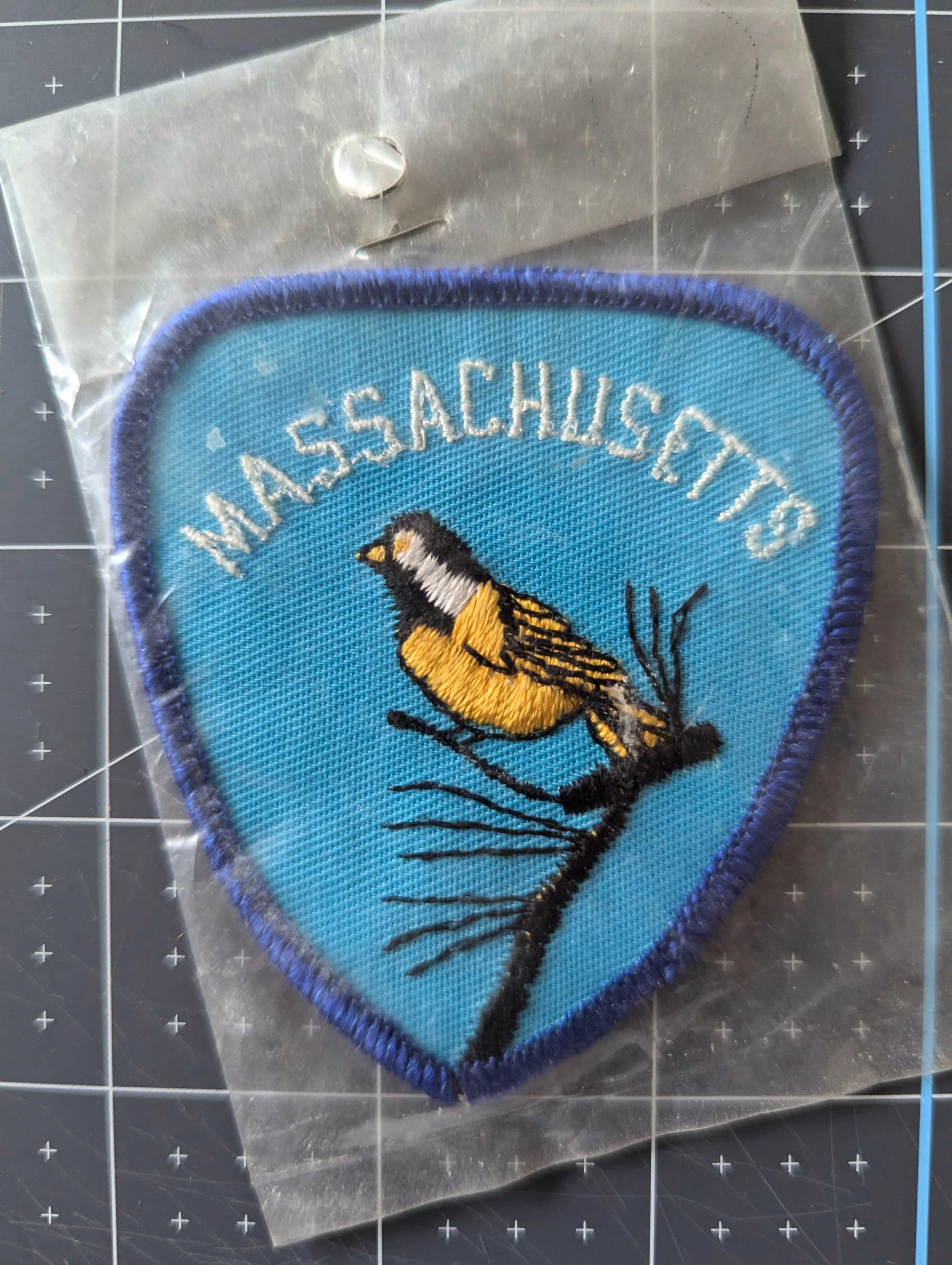 Vintage Massachusetts Patch