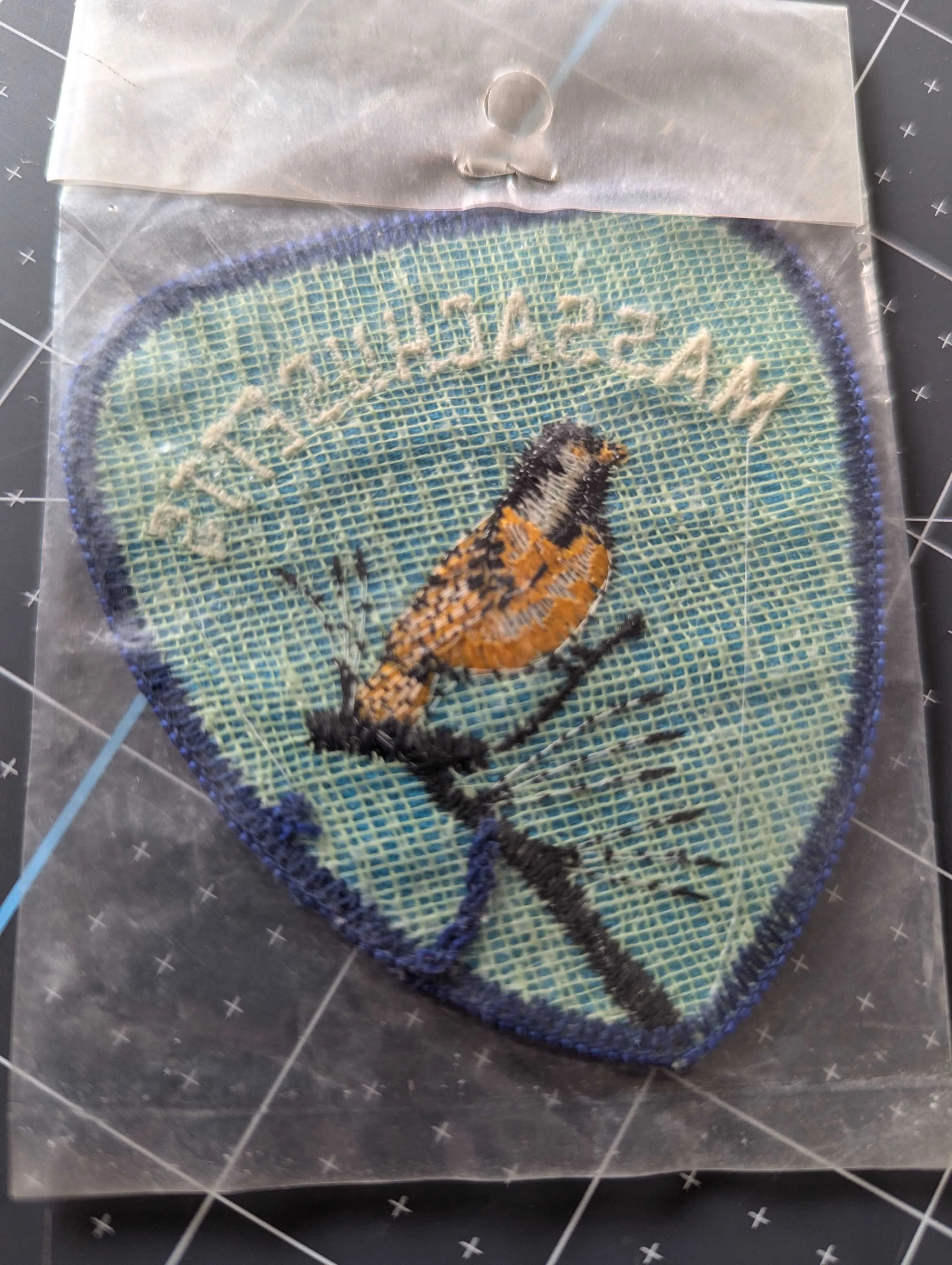 Vintage Massachusetts Patch