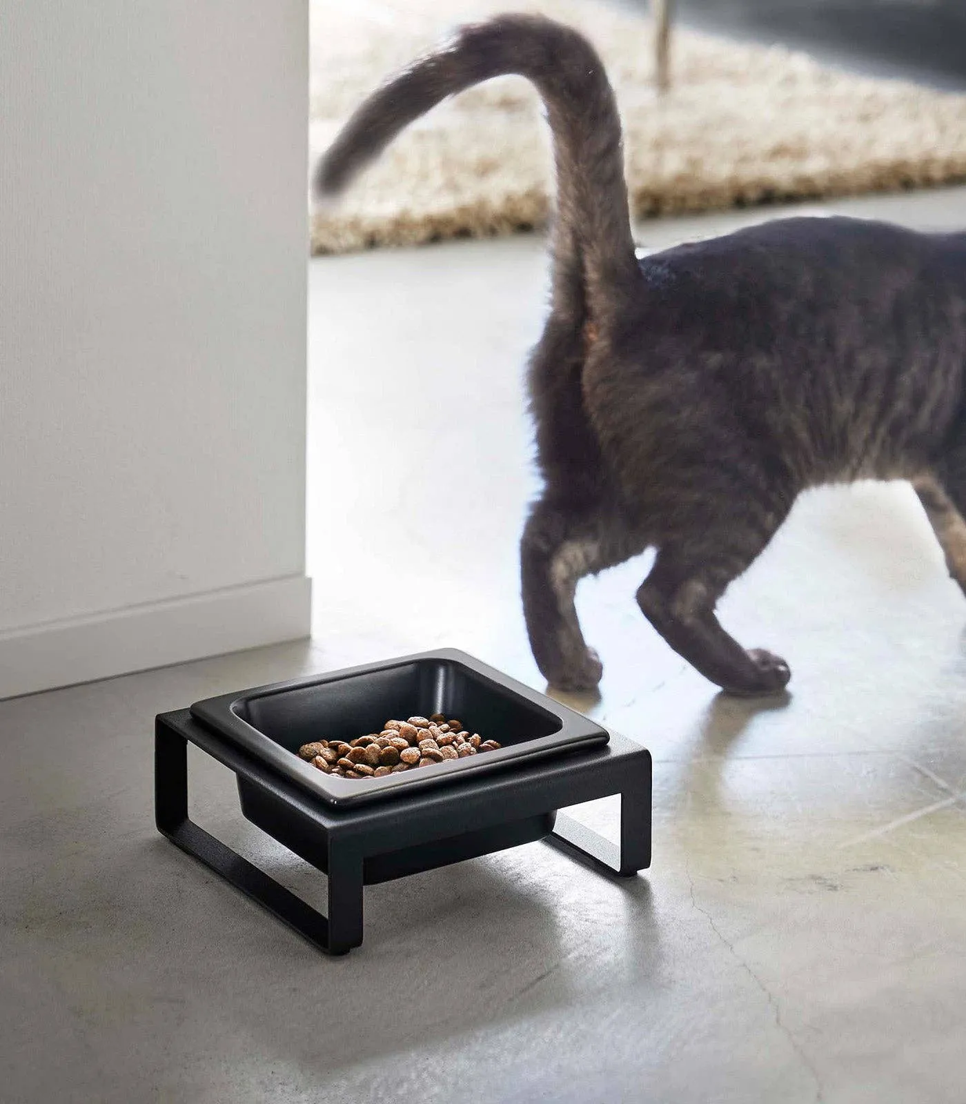 Yamazaki Home - Single Pet Food Bowl- Steel   Ceramic/ Tall
