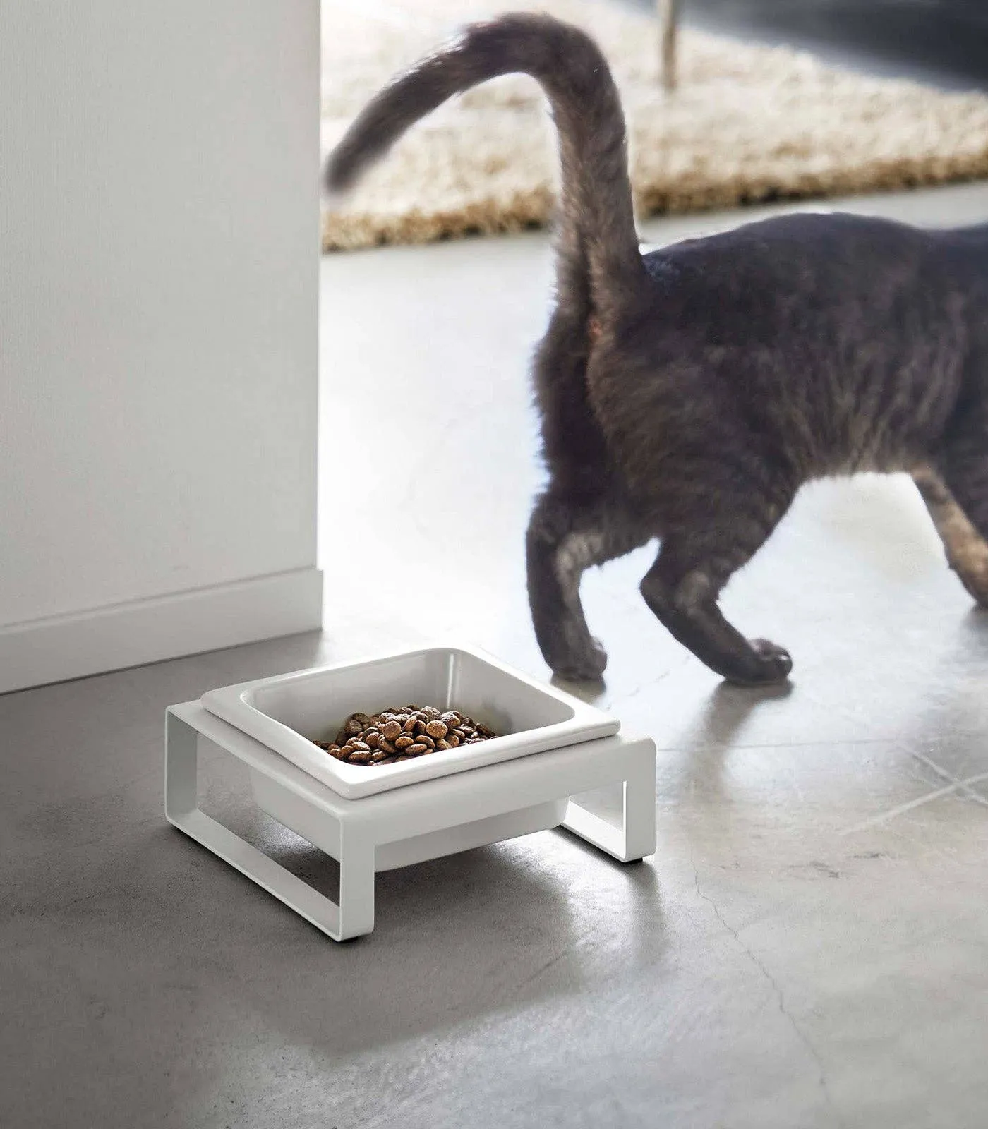 Yamazaki Home - Single Pet Food Bowl- Steel   Ceramic/ Tall