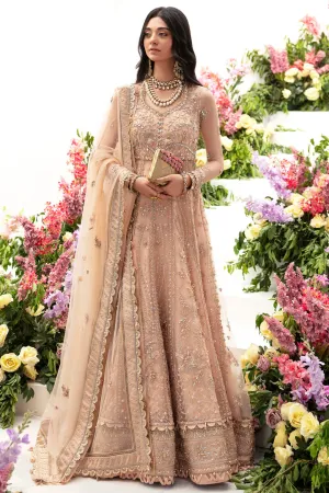 ZAHA | GOSSAMER WINTER '23 | NEDA